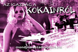 Az igazság a kokainról Az igazság a kokainról